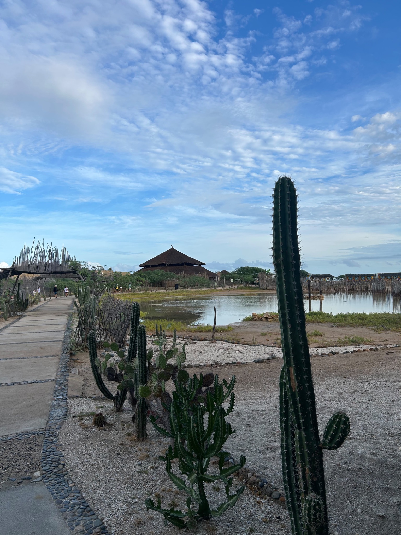 Entorno visitado por 11:11 Energy en La Guajira